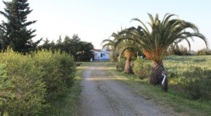 Ferme T13 à Azinheira dos Barros e São Mamede do Sádão de 518 m²