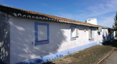 Farm T13 in Azinheira dos Barros e São Mamede do Sádão of 518 m²