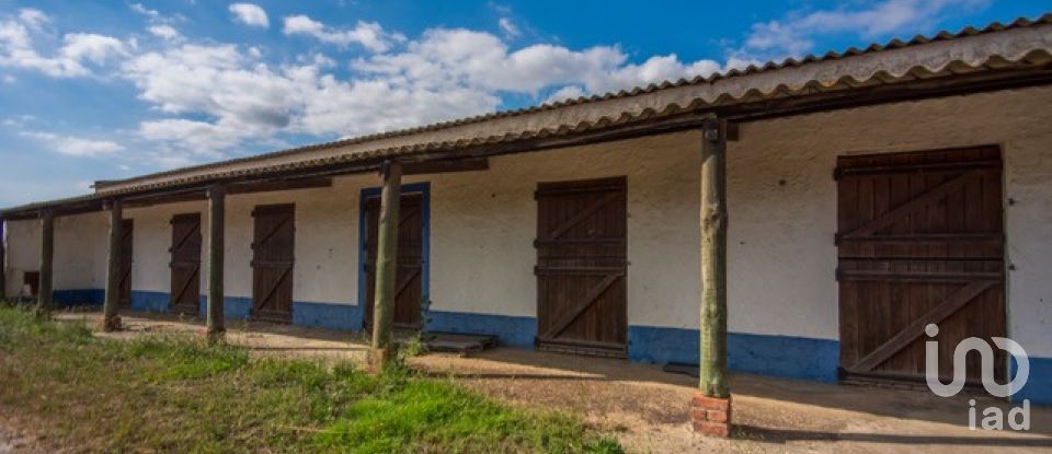 Ferme T13 à Azinheira dos Barros e São Mamede do Sádão de 518 m²