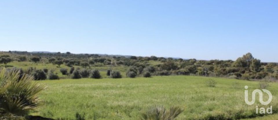 Ferme T13 à Azinheira dos Barros e São Mamede do Sádão de 518 m²