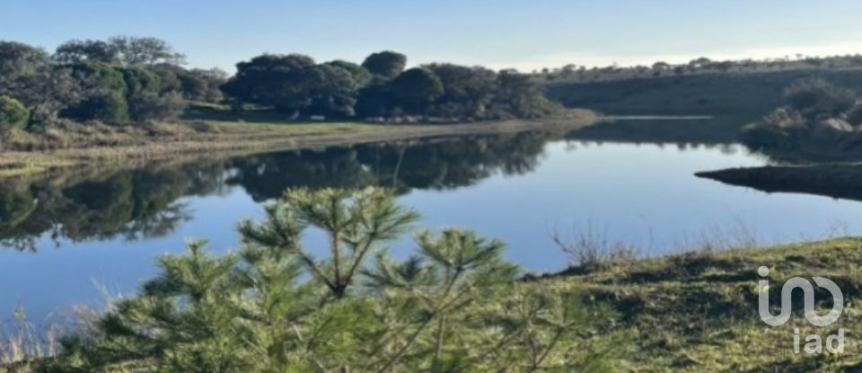 Ferme T13 à Azinheira dos Barros e São Mamede do Sádão de 518 m²