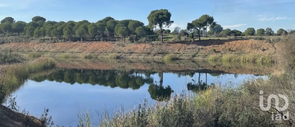 Farm T13 in Azinheira dos Barros e São Mamede do Sádão of 518 m²