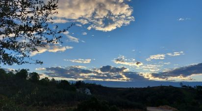 Terrain à Silves de 29 800 m²