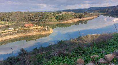 Land in Silves of 29,800 m²