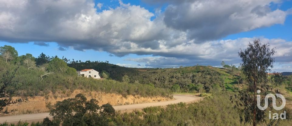 Terreno em Silves de 29 800 m²