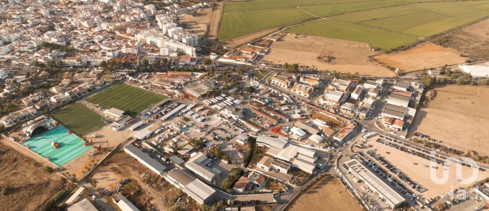 Boutique/Local commercial à Lagoa e Carvoeiro de 163 m²