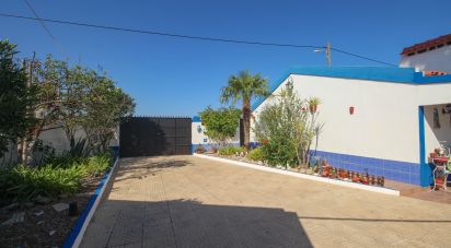 Casa de Campo T3 em Cano de 240 m²