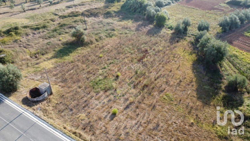 Terreno em Areias e Pias de 640 m²