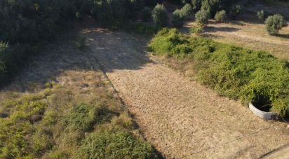 Land in Areias e Pias of 1,000 m²