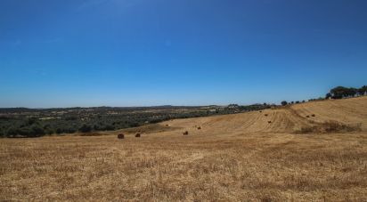 Domaine T0 à Redondo de 500 m²