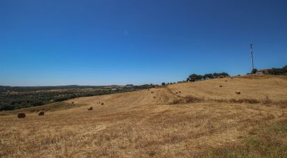 Domaine T0 à Redondo de 500 m²