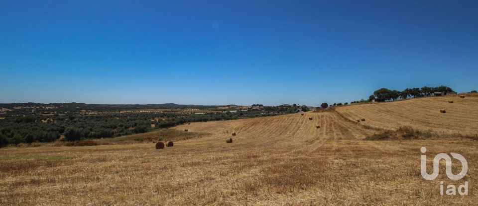 Domaine T0 à Redondo de 500 m²