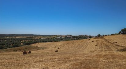 Domaine T0 à Redondo de 500 m²