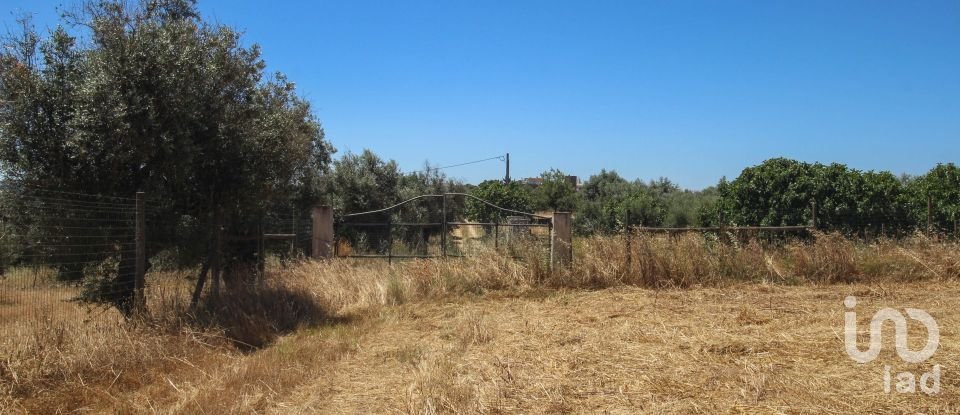 Domaine T0 à Redondo de 500 m²