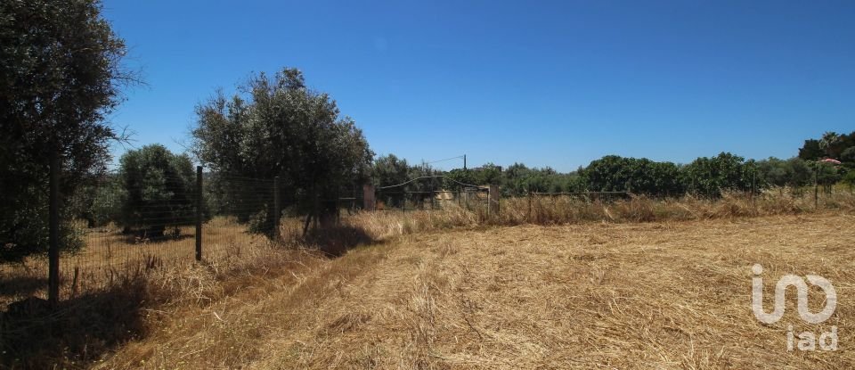 Domaine T0 à Redondo de 500 m²