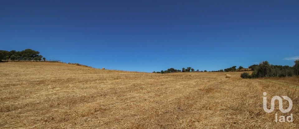 Domaine T0 à Redondo de 500 m²