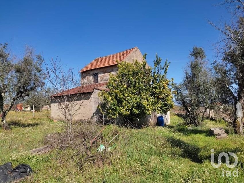 Terreno Agrícola em Midões de 3 900 m²