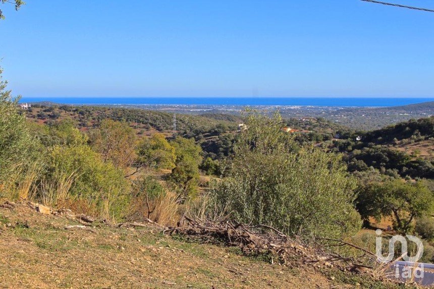 Land in São Brás de Alportel of 3,538 m²