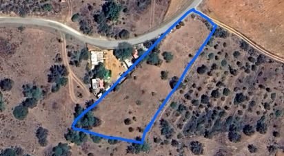 Agricultural land in Silves of 2,900 m²