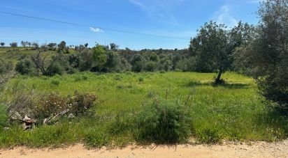 Agricultural land in Silves of 2,900 m²