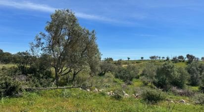 Terreno Agrícola em Silves de 2 900 m²