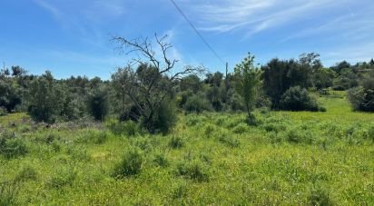 Agricultural land in Silves of 2,900 m²