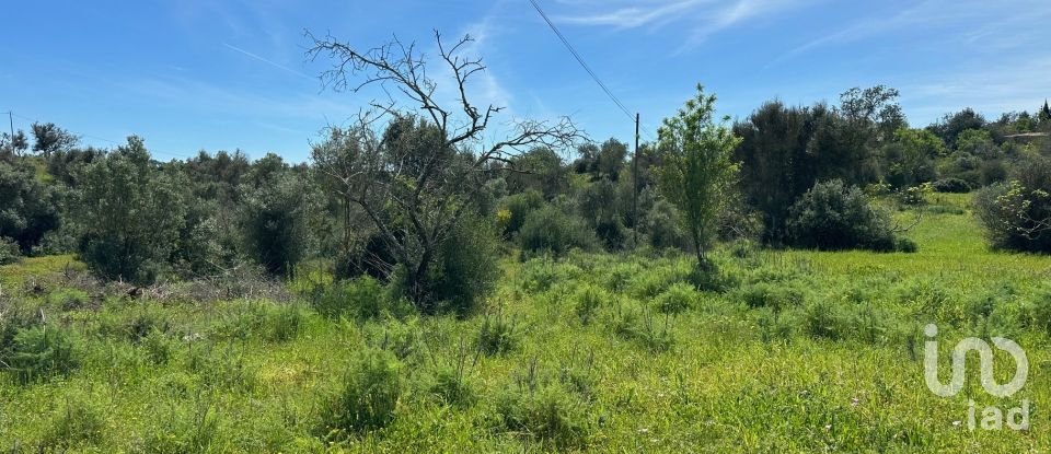 Terreno Agrícola em Silves de 2 900 m²