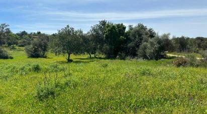 Agricultural land in Silves of 2,900 m²