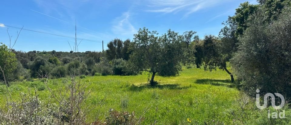 Terreno Agrícola em Silves de 2 900 m²