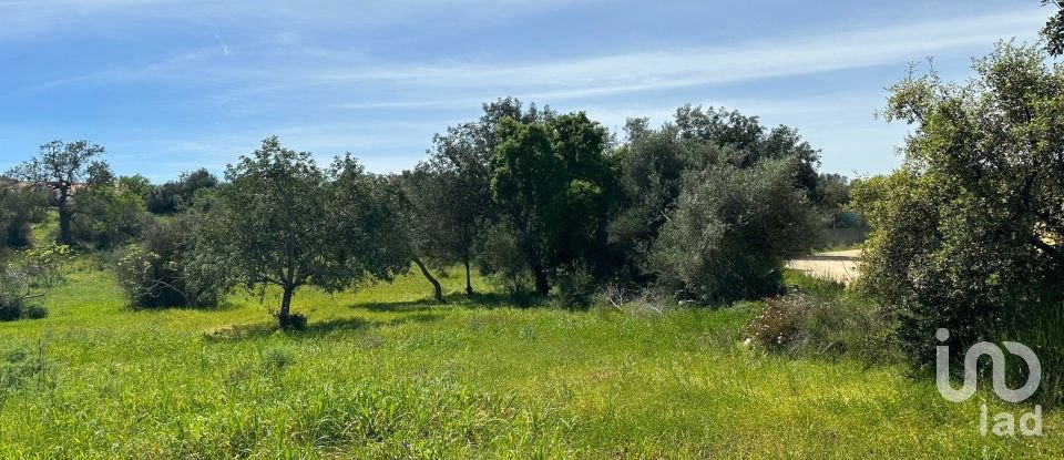 Terreno Agrícola em Silves de 2 900 m²