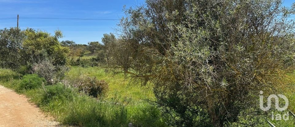 Agricultural land in Silves of 2,900 m²