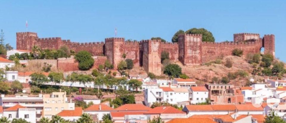 Terreno Agrícola em Silves de 2 900 m²