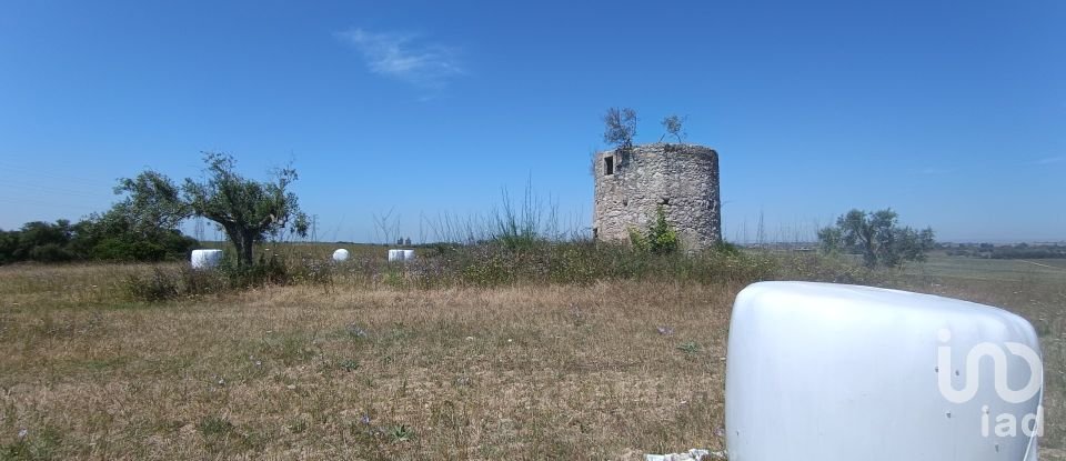 Terrain à Achete, Azoia De Baixo e Póvoa de Santarém de 69 760 m²