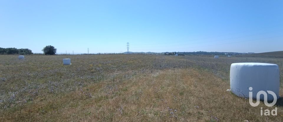 Terrain à Achete, Azoia De Baixo e Póvoa de Santarém de 69 760 m²