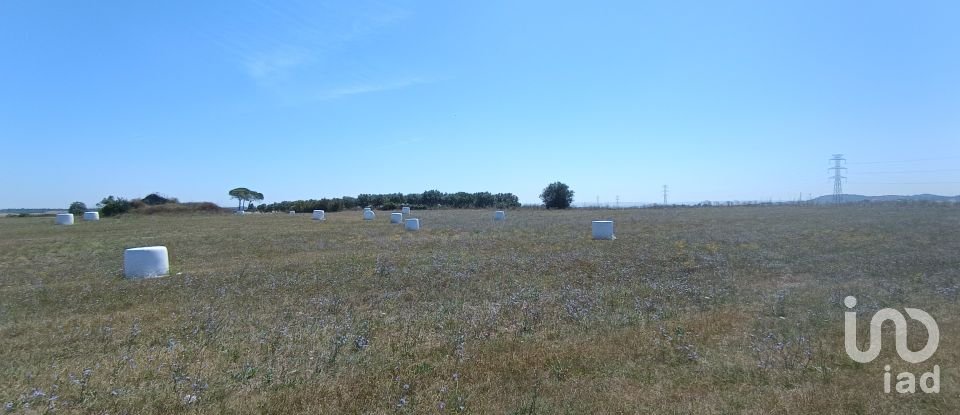 Terrain à Achete, Azoia De Baixo e Póvoa de Santarém de 69 760 m²