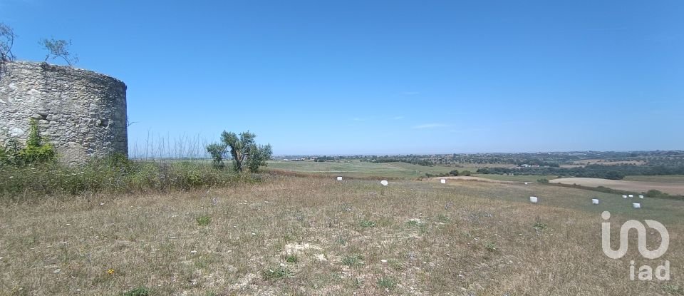 Terrain à Achete, Azoia De Baixo e Póvoa de Santarém de 69 760 m²