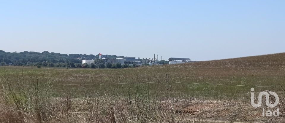 Terrain à Achete, Azoia De Baixo e Póvoa de Santarém de 69 760 m²