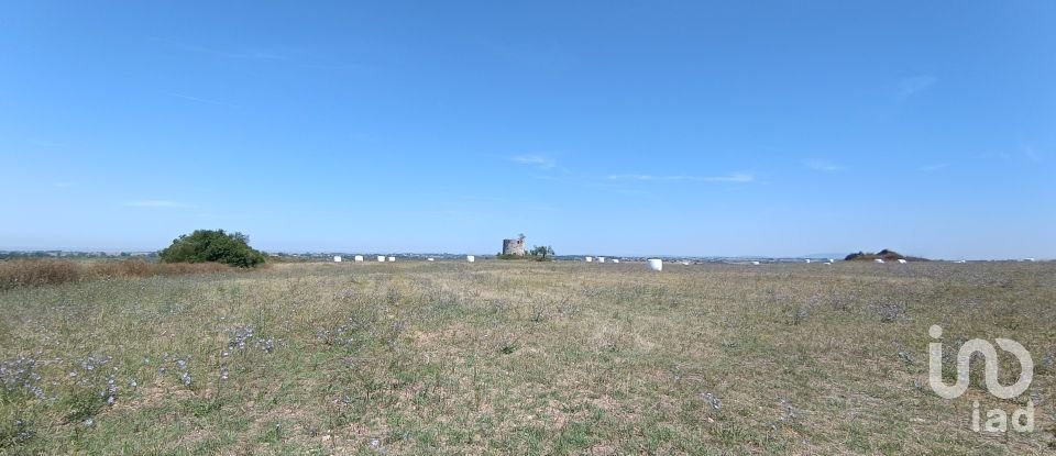 Terrain à Achete, Azoia De Baixo e Póvoa de Santarém de 69 760 m²