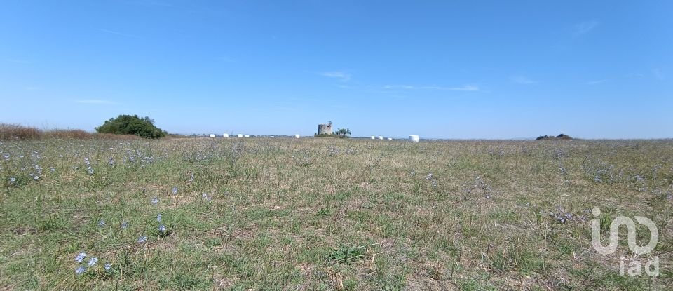 Terrain à Achete, Azoia De Baixo e Póvoa de Santarém de 69 760 m²