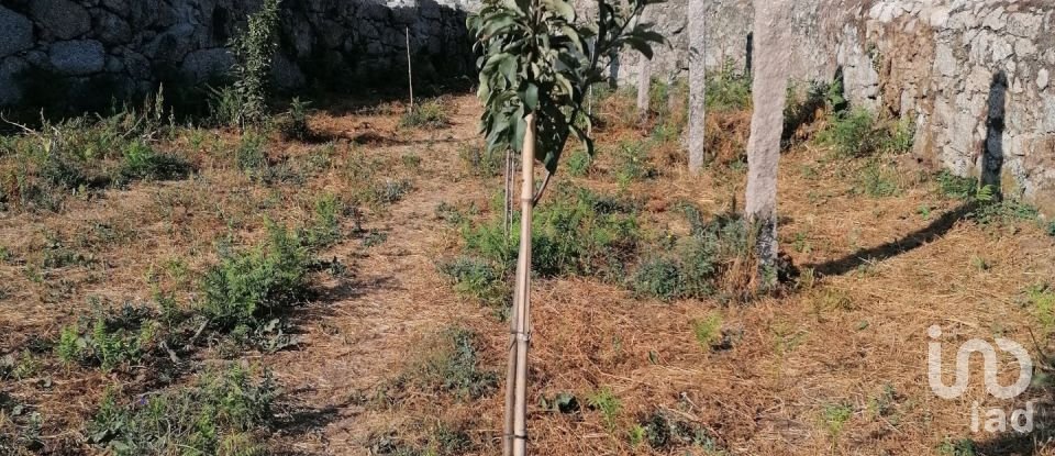 Terreno em Palmeira de Faro e Curvos de 632 m²