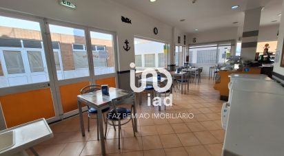 Boutique/Local commercial à Conceição e Cabanas de Tavira de 165 m²