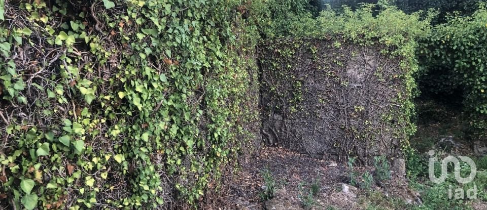 Casa de aldeia T0 em Santa Cruz da Trapa e São Cristóvão de Lafões de 90 m²