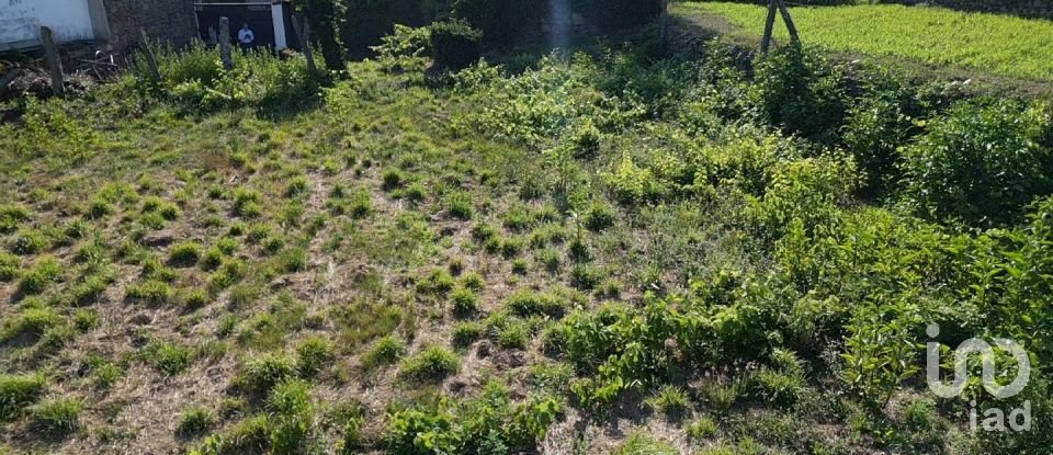 Casa de aldeia T0 em Santa Cruz da Trapa e São Cristóvão de Lafões de 90 m²