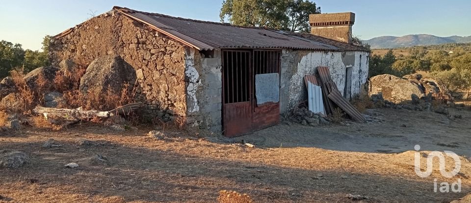 Ferme T5 à Fortios de 267 m²