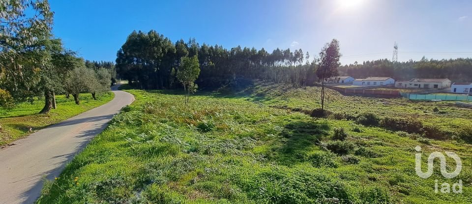 Terrain à Rio Maior de 2 130 m²