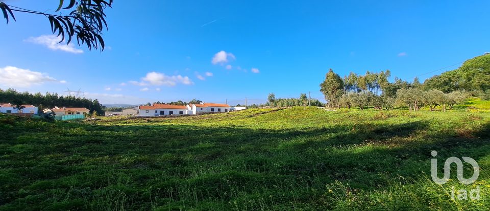 Terrain à Rio Maior de 2 130 m²