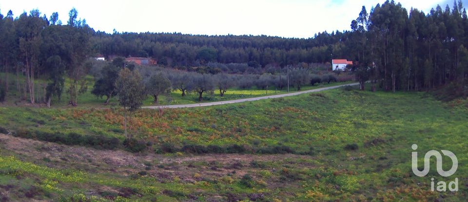 Terrain à Rio Maior de 2 130 m²