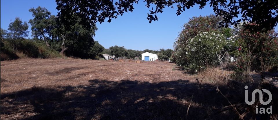 Ferme T3 à Alagoa de 195 m²