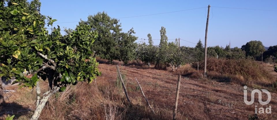 Ferme T3 à Alagoa de 195 m²