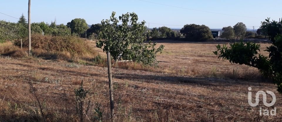 Ferme T3 à Alagoa de 195 m²